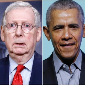 Cat Looks Like Adam Driver