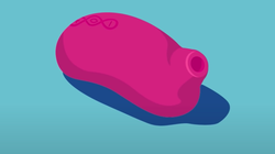 Los mejores juguetes sexuales para celebrar el mes de la