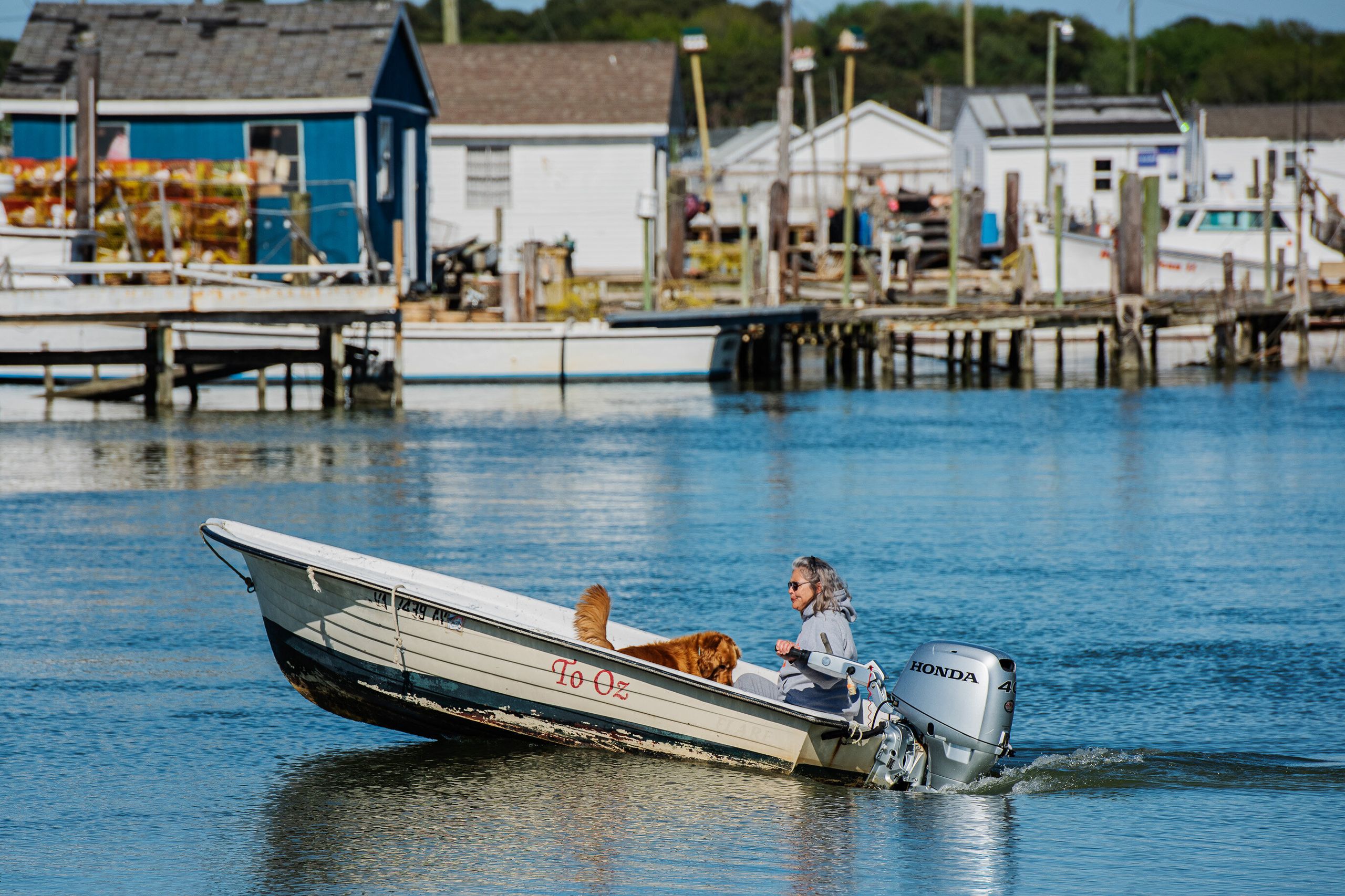 Carol Pruitt-Moore heads out on her skiff with her golden retriever, Progger from the harbor on Tangier Island earlier this m