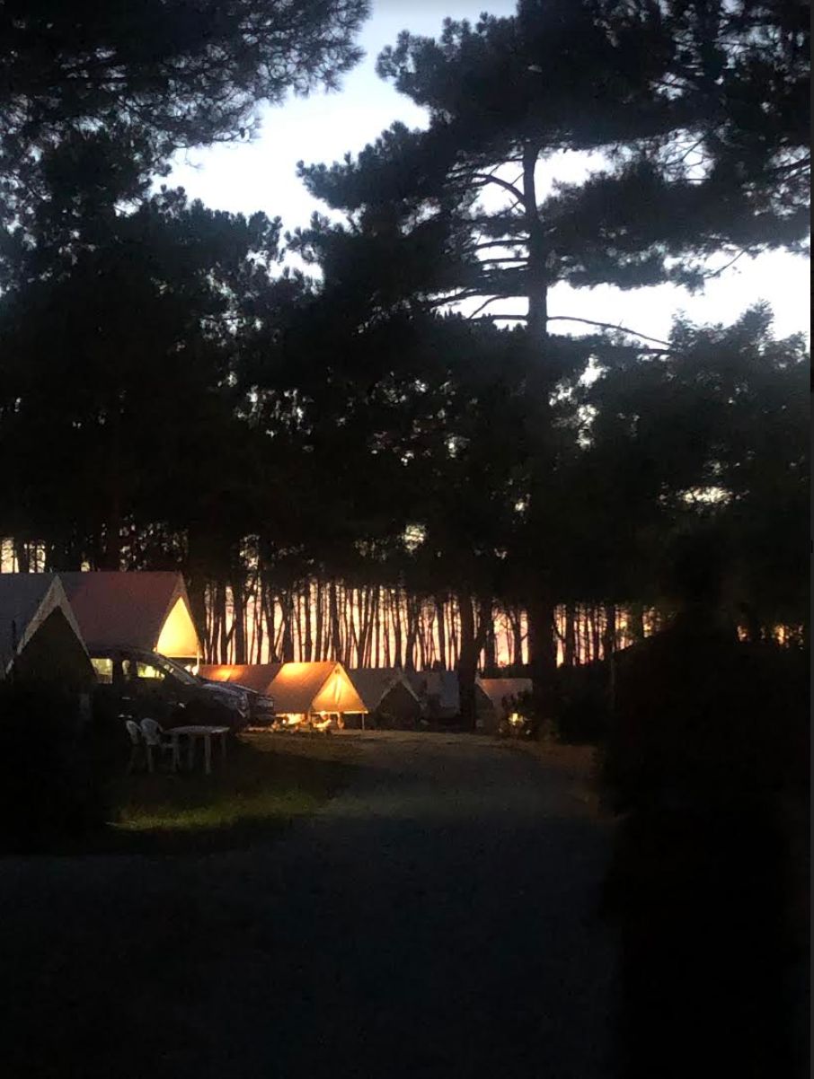 The campsite in the forest.