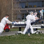 Prime caf covid Prime caf covid