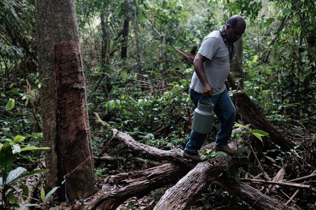 Seringueiro atua em lote de terra em Xapuri, no estado do