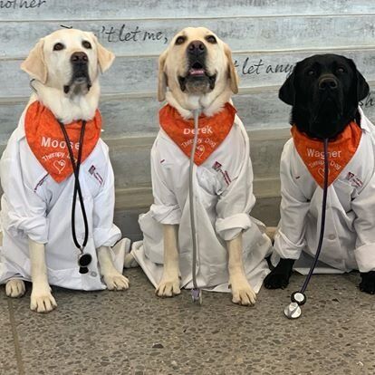 Moose, pictured with colleagues Derek and Wagner