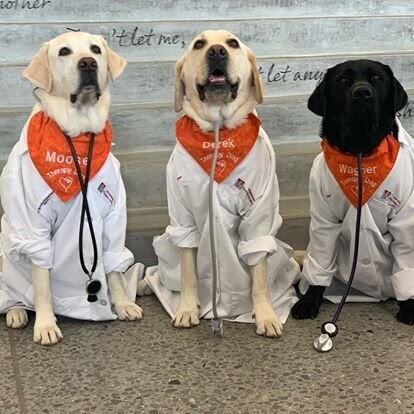 Moose, pictured with colleagues Derek and Wagner.