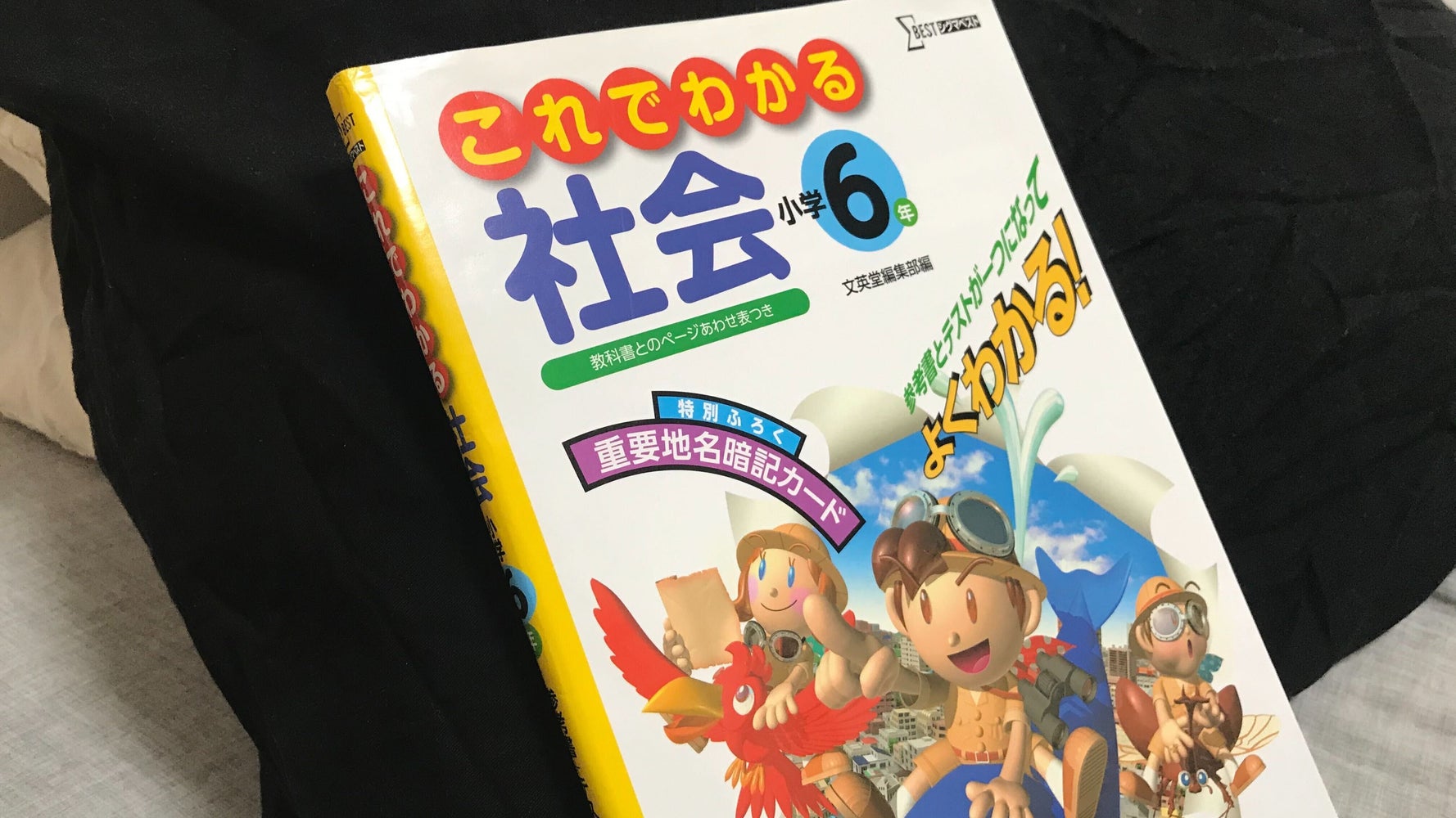 政治が不安だから「小6の教科書」を読む。子どものころピンと来なかっ