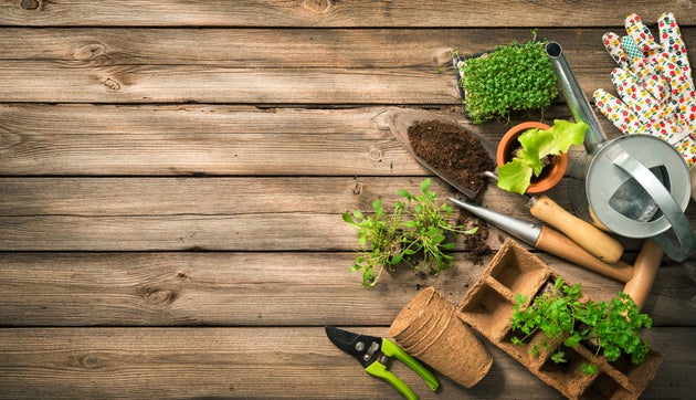 Gardening tools, seeds and soil on wooden table. Spring in the garden