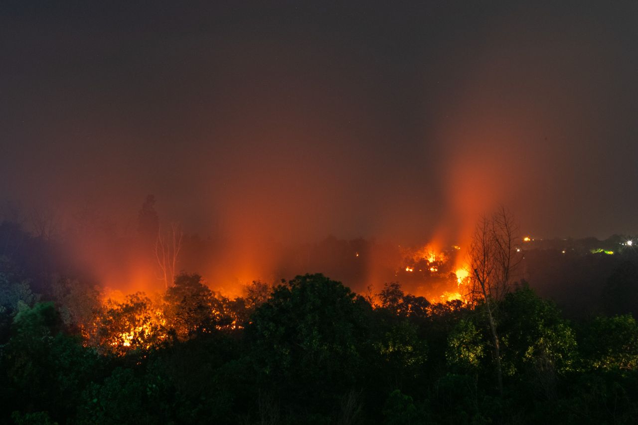 A forest fire in Riau Province, Indonesia, on March 1, 2020. These fires have been a mostly human-made problem for decades as much of it arises from the clearing of forests for more palm oil plantations.