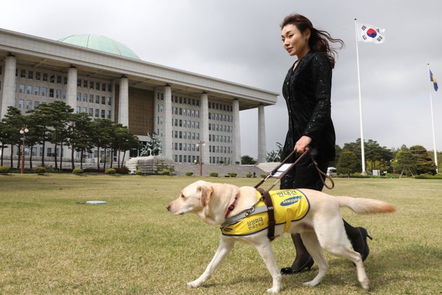 김예지 당선인의 안내견 '조이'가 국회 본회의장에 입성한 첫 견공이 됐다