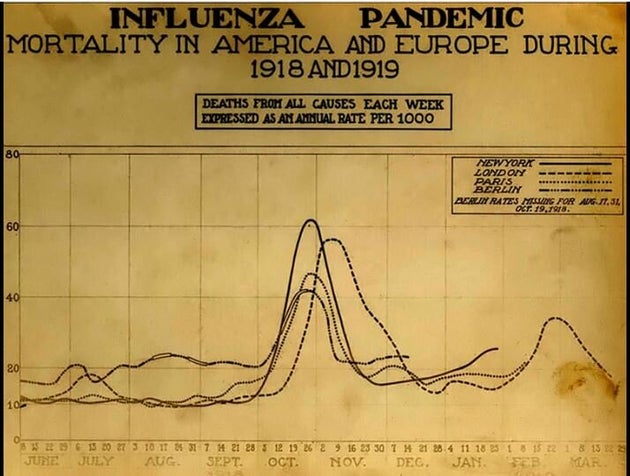 Influenza