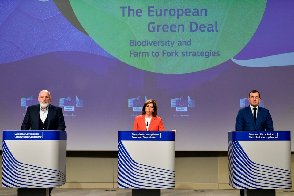 European Commissioners for European Green Deal Frans Timmermans, for Health Stella Kyriakides and for...