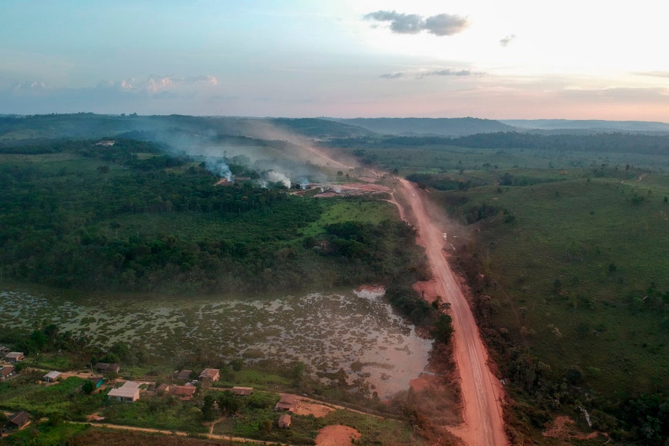 Brazilian president Jair Bolsonaro is only helping fuel rampant deforestation of the Amazon during the pandemic.