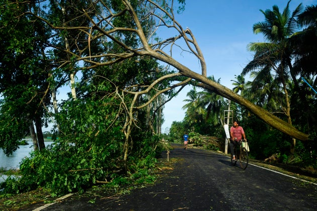 A man rides his bicycle under an uprooted tree after the landfall of cyclone Amphan in Midnapore, West...