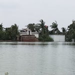 Cyclone Amphan: A Glimpse Of The Devastation In Coastal