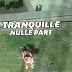 Il voulait bronzer, mais ce grutier en a décidé