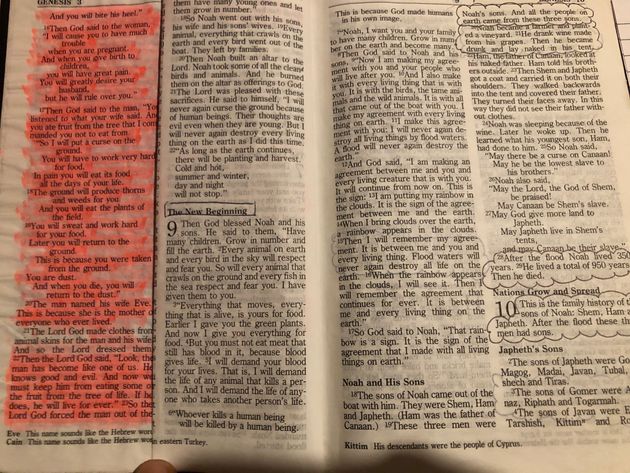 Germaine's daughter's study Bible
