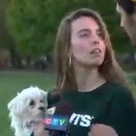 How This Uncomfortable Kiss During A Toronto TV Interview Crosses The