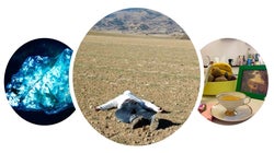 El teatro que hace utopía, poesía y belleza del