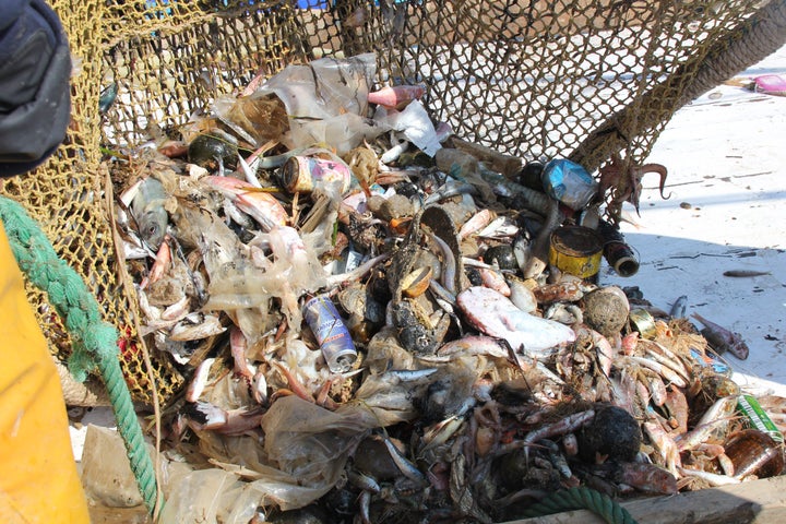 魚とともに海から引き上げられたプラごみ