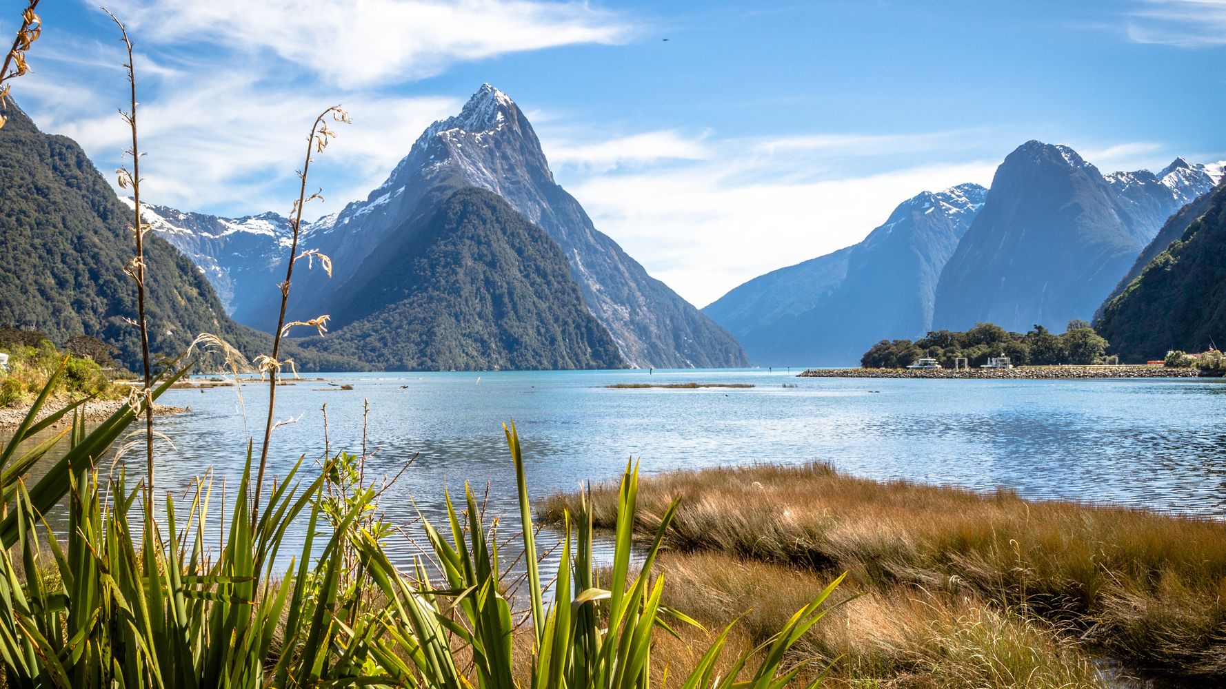 Travel To New Zealand To Start From July 1? Here’s What You Need To