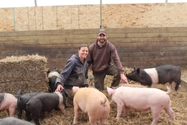 How to Buy a Whole or Half Pig — Monnett Farms