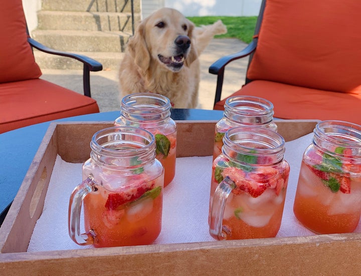Sadly, the cute dog does not come with the cocktail if you make it at home.