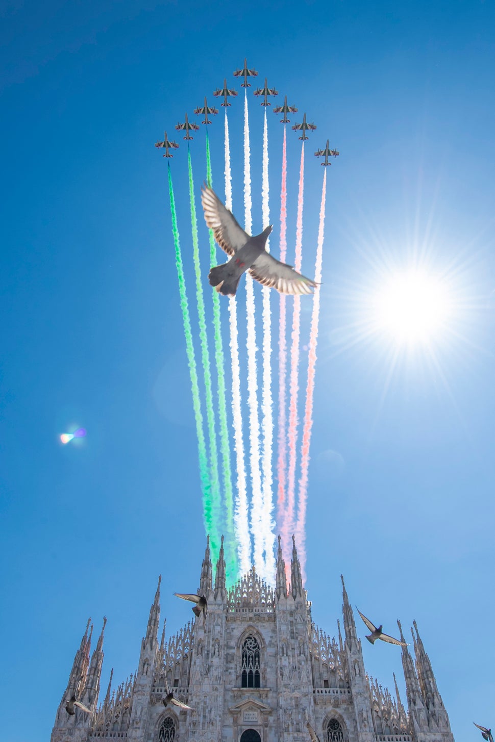 11 Amazing Photos You Missed This