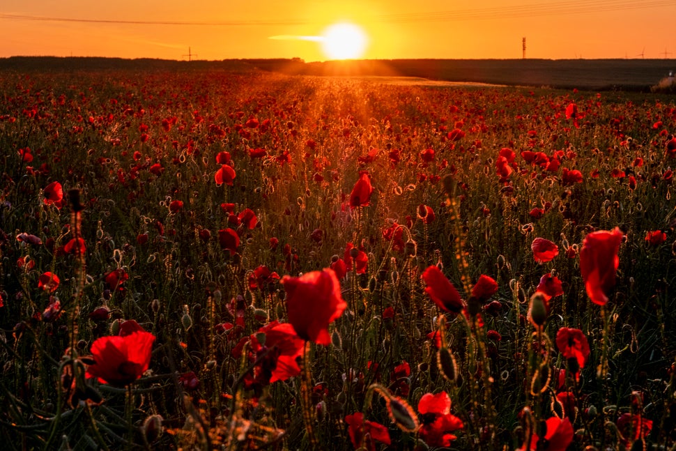 11 Amazing Photos You Missed This