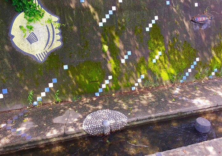 筆者の散歩コースにある親水公園は様々な種類の苔が自生しています。種類を調べながら観察したり少し採取したりできます。