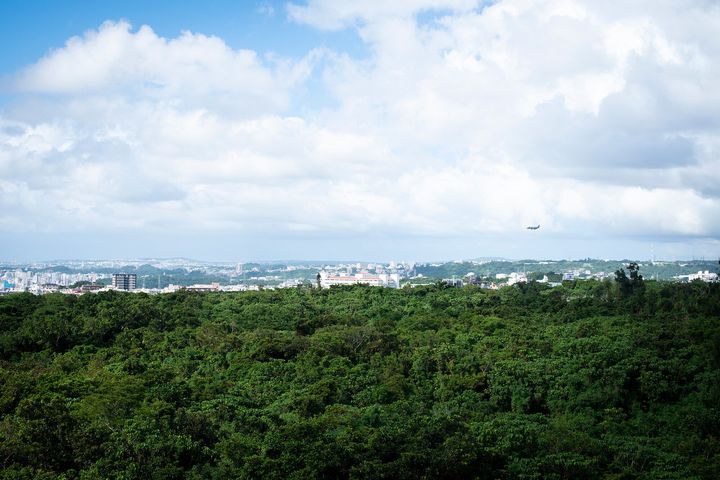 普天間基地に離着陸する軍用機の轟音が空を震わす。2019年12月だけで、嘉手納基地は4258回、普天間飛行場は1834回の離発着が数えられている。