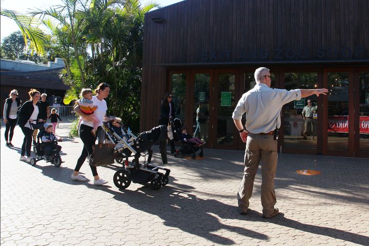 A park staff member directs guests on arrival during the re-opening of Taronga Zoo on June 01, 2020 in Sydney, Australia