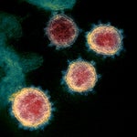 Un virólogo explica lo que han visto en las mutaciones del coronavirus: 