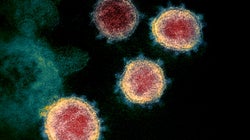 Un virólogo explica lo que han visto en las mutaciones del coronavirus: “Un hilo de