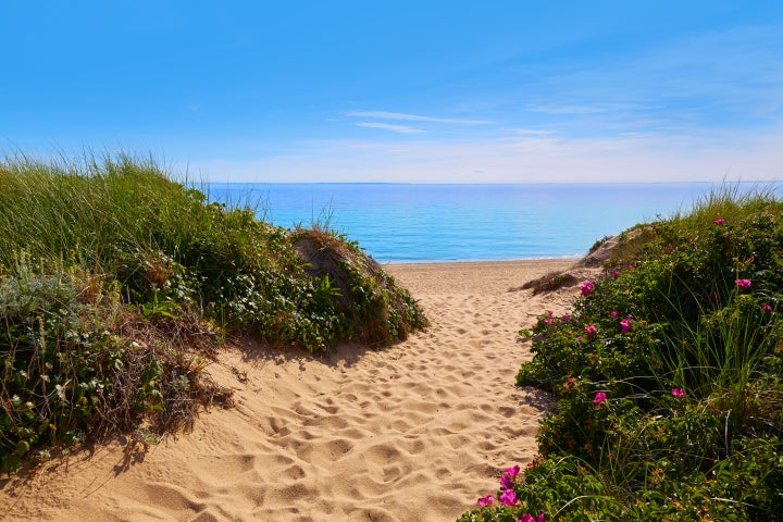 Cape Cod Herring Cove Beach in Massachusetts USA