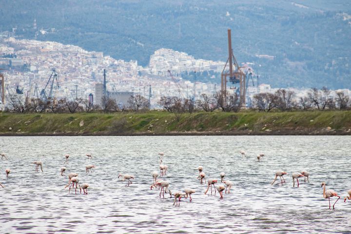 Θεσσαλονίκη (Photo by Nicolas Economou/NurPhoto via Getty Images)