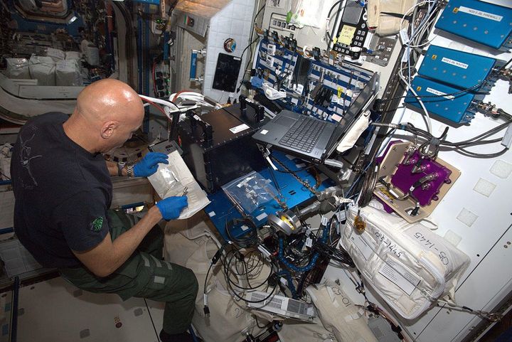 Ο Ιταλός αστροναύτης Luca Parmitano κατά τη διαδικασία εγκατάστασης και έναρξης λειτουργίας της πειραματικής συσκευής RUBI στον Διεθνή Διαστημικό Σταθμό. 