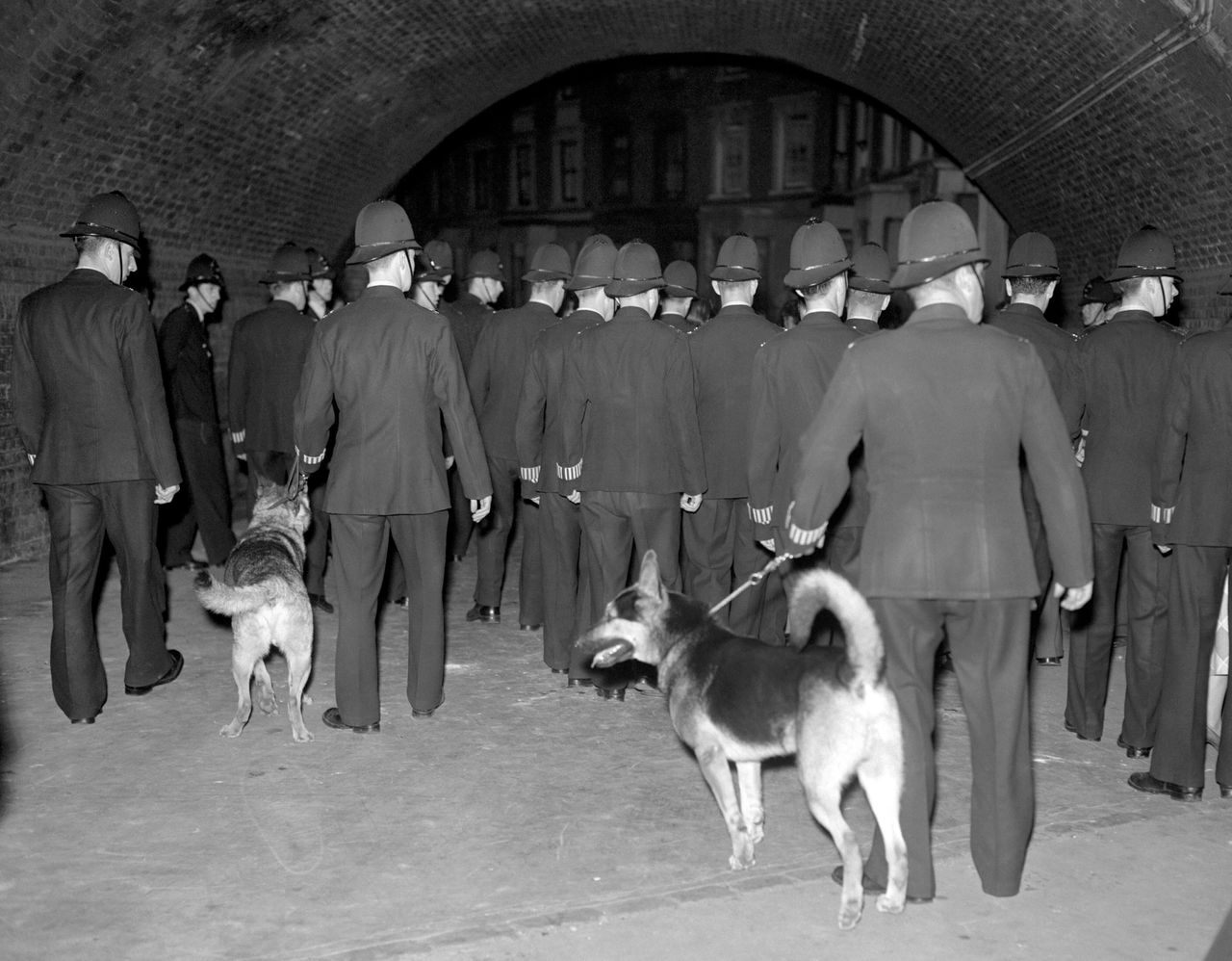 Police officers with dogs at a street in Notting Hill during riots in Notting Hlil, 1958