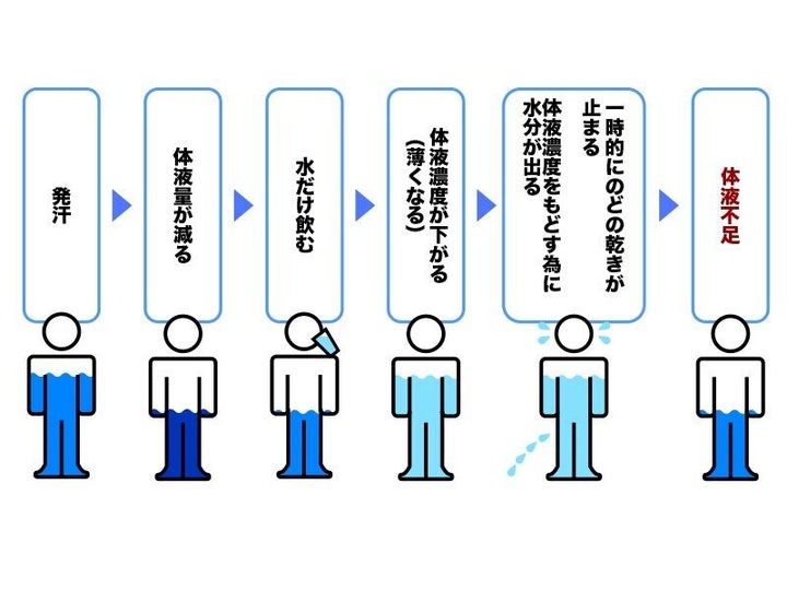 大塚製薬HPより