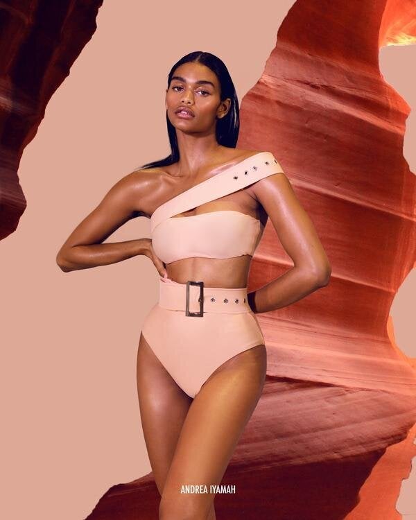 Andrea Iyamah Kanem High Waist Bikini, $185