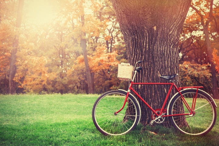 Vintage bicycle waiting near tree