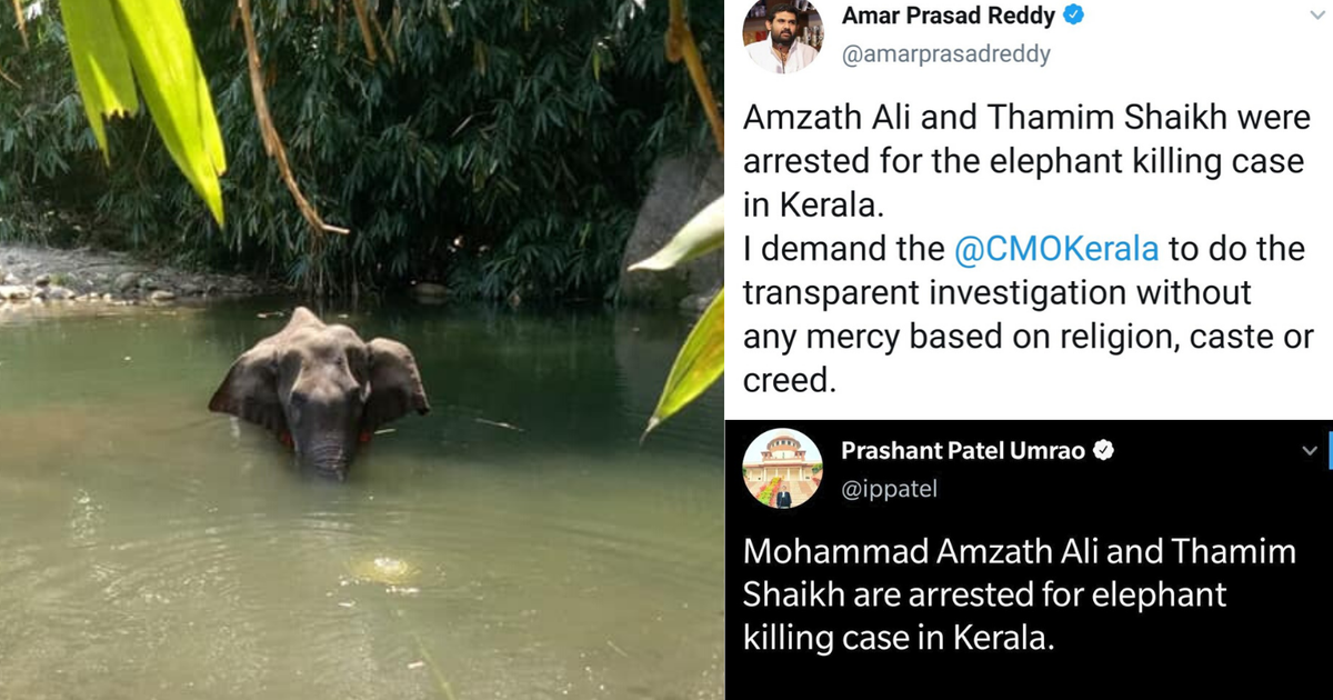 Kerala Elephant S Death Trolls Peddled Fake News By Pinning Blame