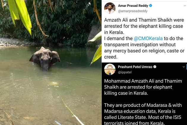 Kerala elephant's