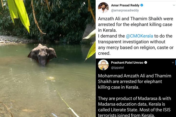 Kerala elephant's death