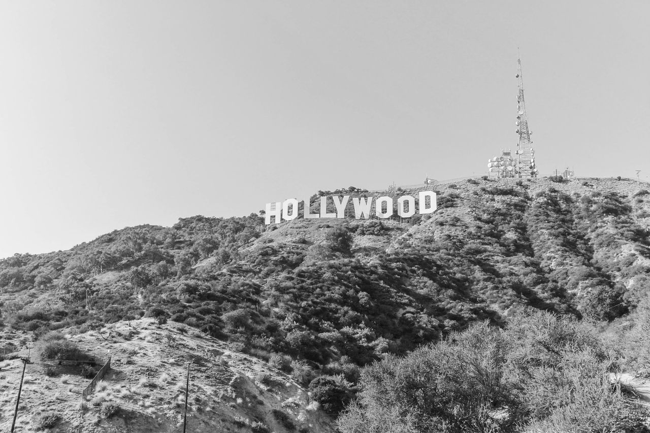 Hollywood's traditional film studio-cinema relationship is under strain due to the virus