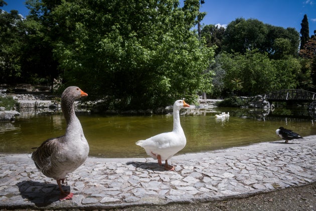 Εθνικός Κήπος