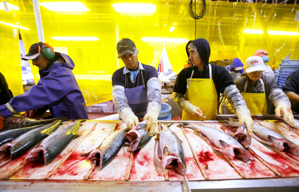 Workers clean salmon carcasses on a cleaning line at the Alitak Cannery in Alitak, Alaska, in