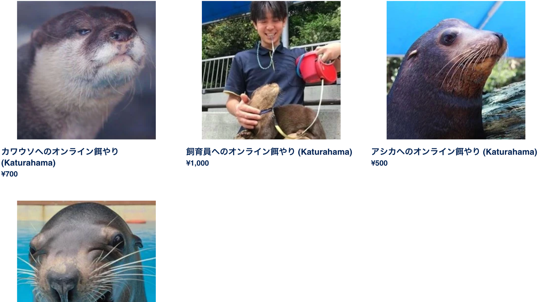 飼育員へのオンライン餌やり 桂浜水族館の奇策について 担当者に聞いた ハフポスト News 飼育員へのオンライン餌やり 桂浜水族館の奇策について 担当者に聞いた ハフポスト News