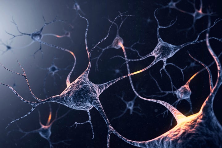 Neuronas. 