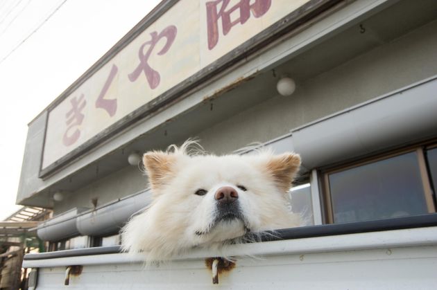 【画像集】ありがとう、そしてバイバイ。見る人を笑顔にしてくれたカワイイ「わさお」