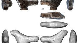 Des archéologues ont découvert la plus vieille oeuvre d’art