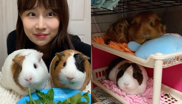 설뽀와 엄지, 혜정씨, 통통이(2층)와 몽실이(1층)